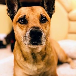 Meet your Posher, Wei